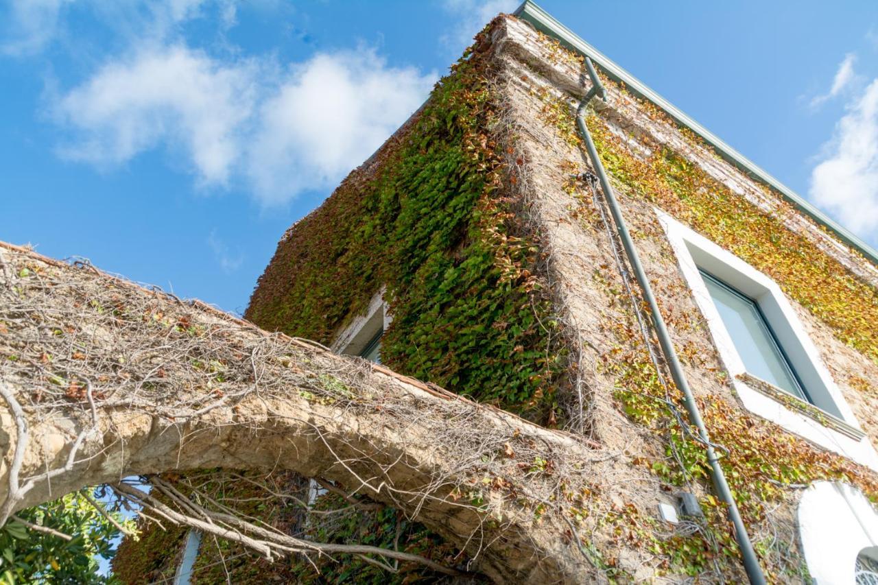 La Belle Vie B&B Santa Maria di Castellabate Dış mekan fotoğraf